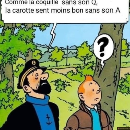 Citation du capitaine Haddock