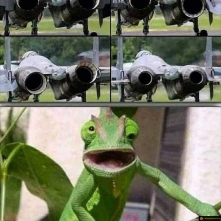 Comme le caméléon