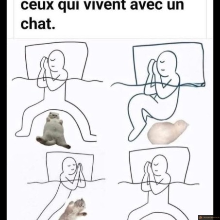 Comment dormir avec un chat