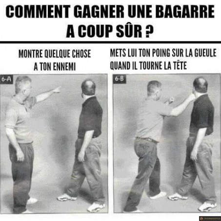 Comment gagner une bagarre