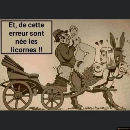 Comment sont nées les licornes?