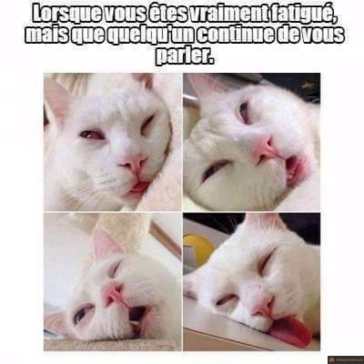 Conversation fatiguante
