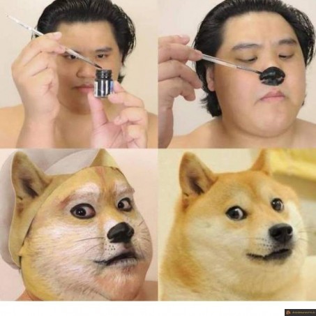Cosplay Doge