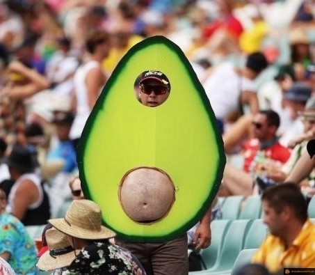costume avocat