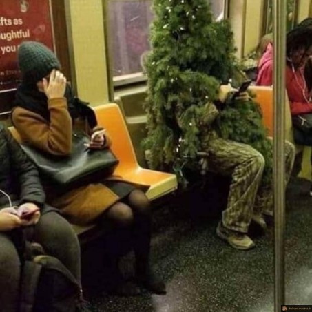 Costume de sapin