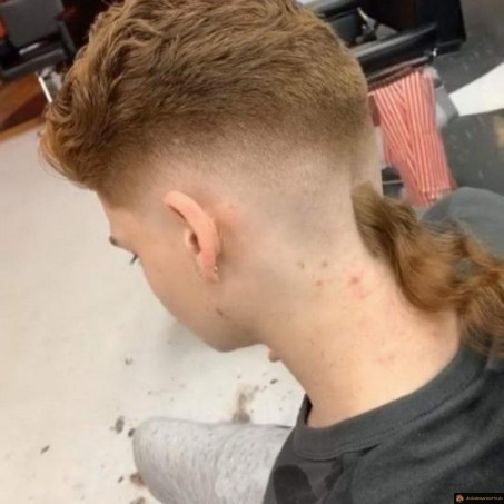 Coupe mulet en 2020