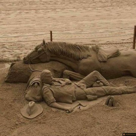 Cow boy de sable