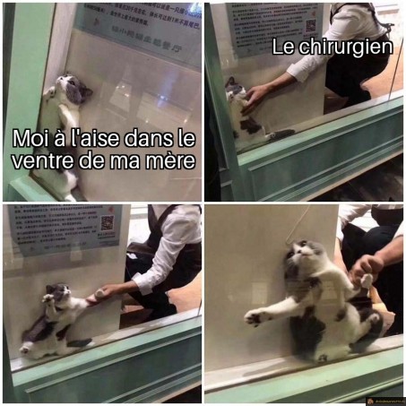 Dans le ventre de ma mère
