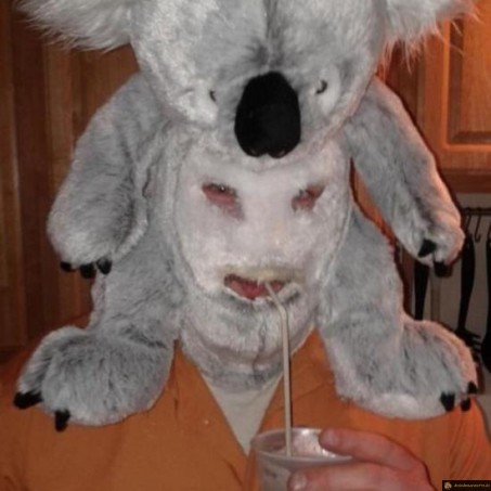 Déguisement koala qui fait peur