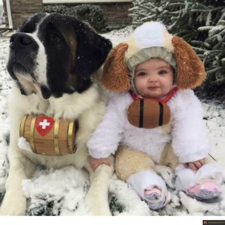 Déguisement Saint-Bernard