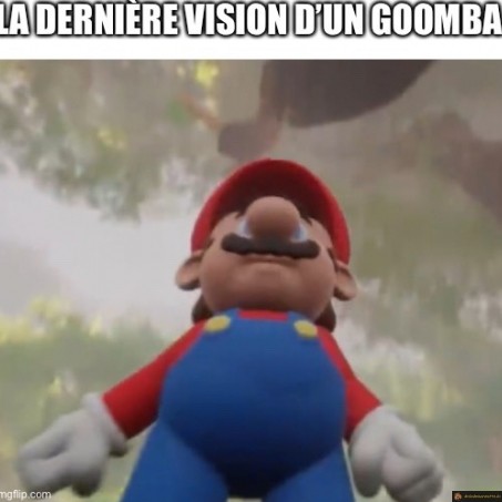 Dernière vision d'un goomba