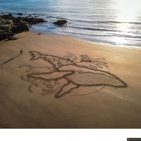 Dessin baleine sur la plage