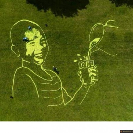 Dessin sur pelouse