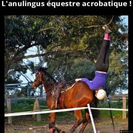 Discipline equestre méconnue
