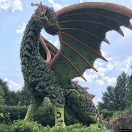 Dragon dans le jardin
