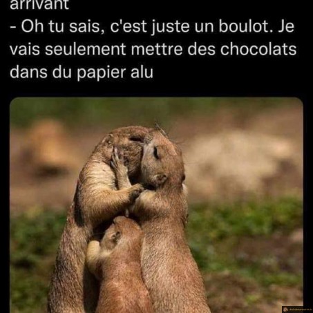 Dur travail des marmottes