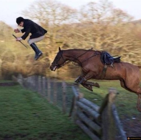 Ejection du cheval