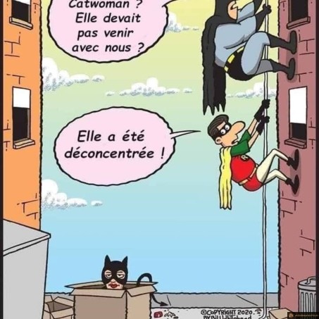 Elle est où Catwoman?