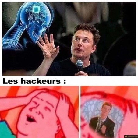 Elon Musk puce cerveau Rick roll