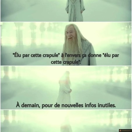 Elu par cette crapule