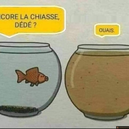 Encore la chiasse?