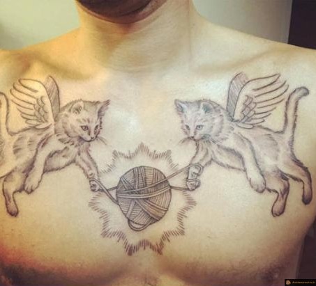 Encore un fan de chat