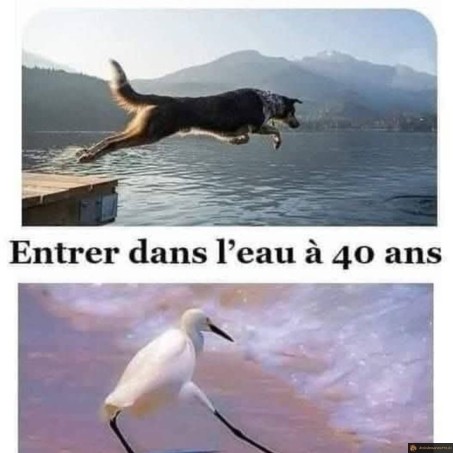 Entrer dans l'eau à 20 ans ou 40 ans