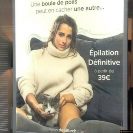 Epilation du chat