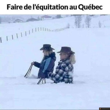 Equitation au Québec