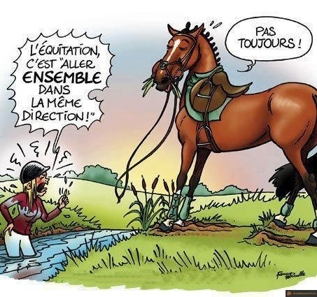Equitation ensemble