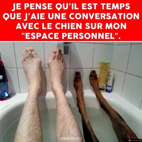Espace personnel avec le chien