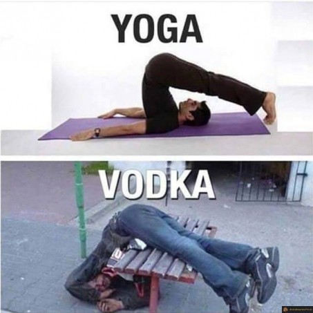 Et vous? plutôt Yoga ou Vodka?
