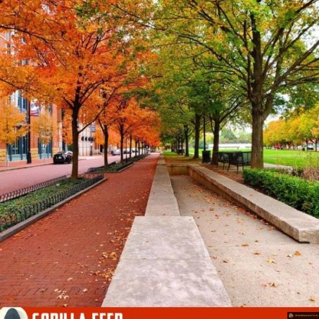 été vs automne