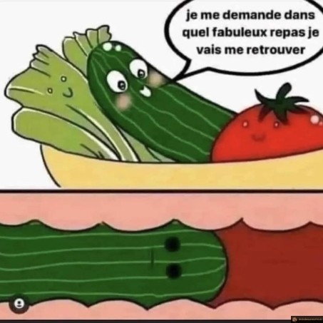 Fabuleux repas légume