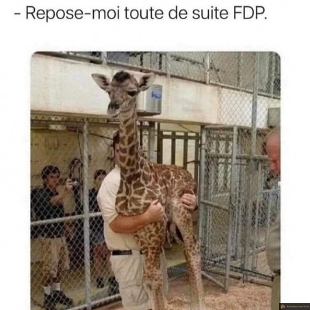 Fais pouet pouet