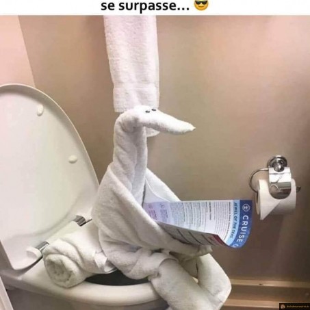 Femme de ménage experte