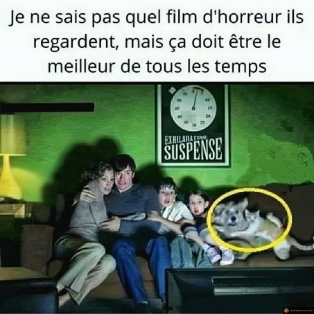Film d'horreur ultra flippant
