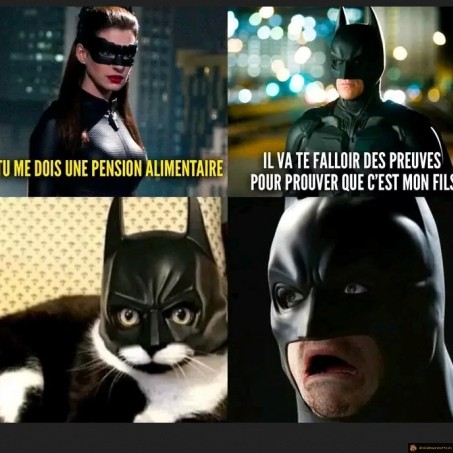 Fils de batman