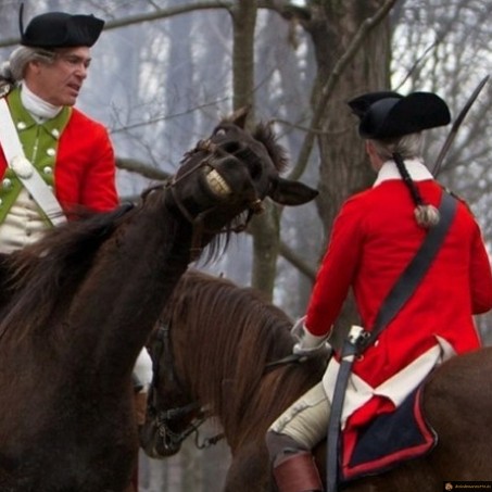 Fou rire avec un cheval