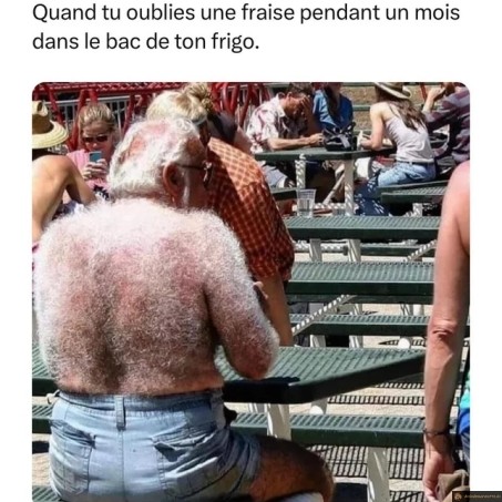 Fraise pourrie dans le frigo