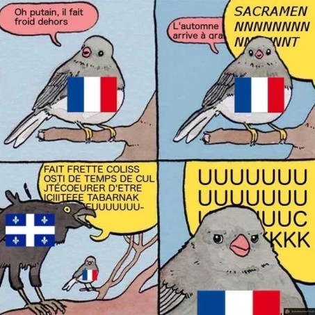 Froid france vs quebec