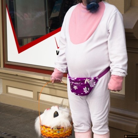 Gros lapin flippant
