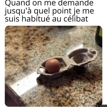 Habitué au célibat