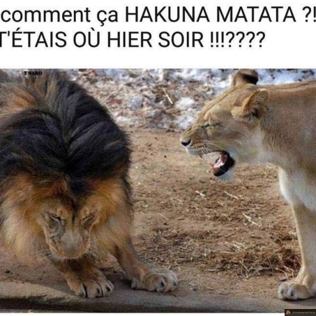 Hakuna matata