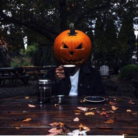 Halloween arrive