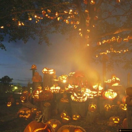 Halloween citrouille arbre