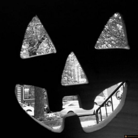 Halloween citrouille rue