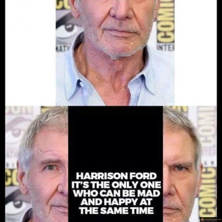 Harrison Ford, 2 visages
