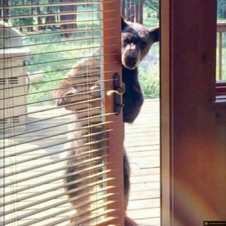 Hello, y a quelqu'un?