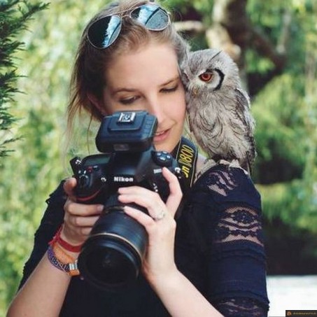 Hibou curieux